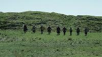 Norsemen